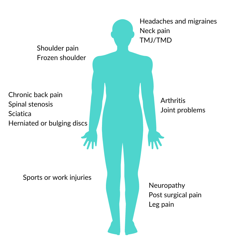 body anatomy